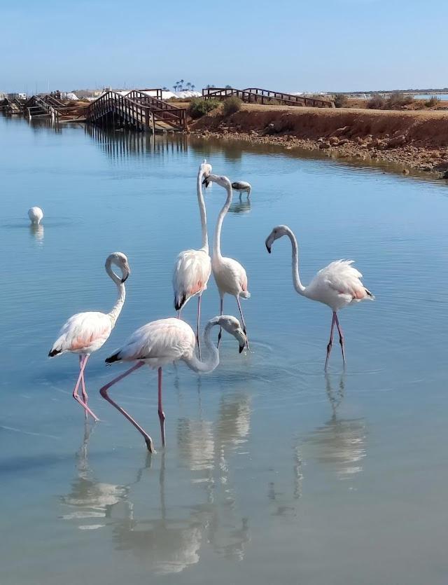 La Casika De Lola Βίλα San Javier Εξωτερικό φωτογραφία